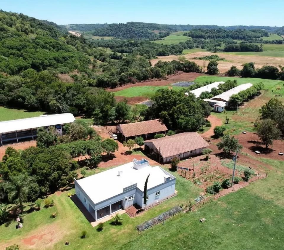 Granja  Propriedade 17 HA Porteira fechada com chiqueirão e tambo de leite completo,
