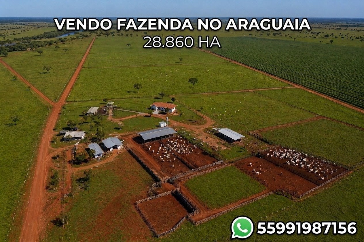 Tenho uma fazenda de 28 mil hectares para vender em São Félix do Araguaia