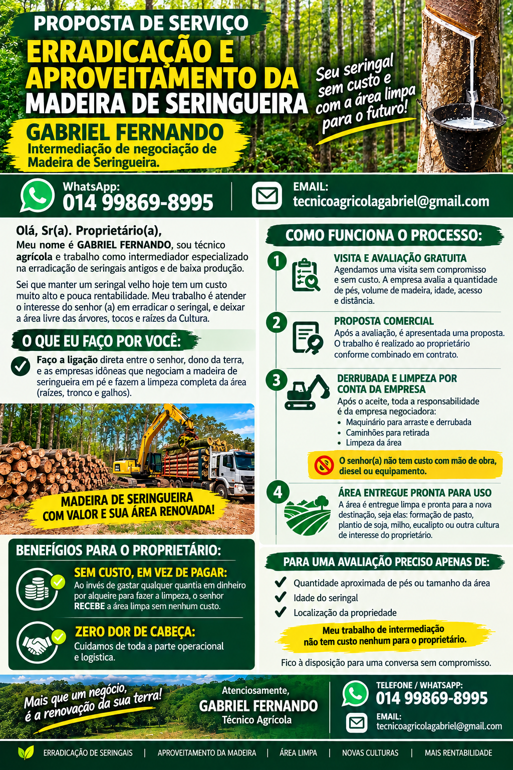 Erradicação de áreas florestais/ negociação de madeira em pé
