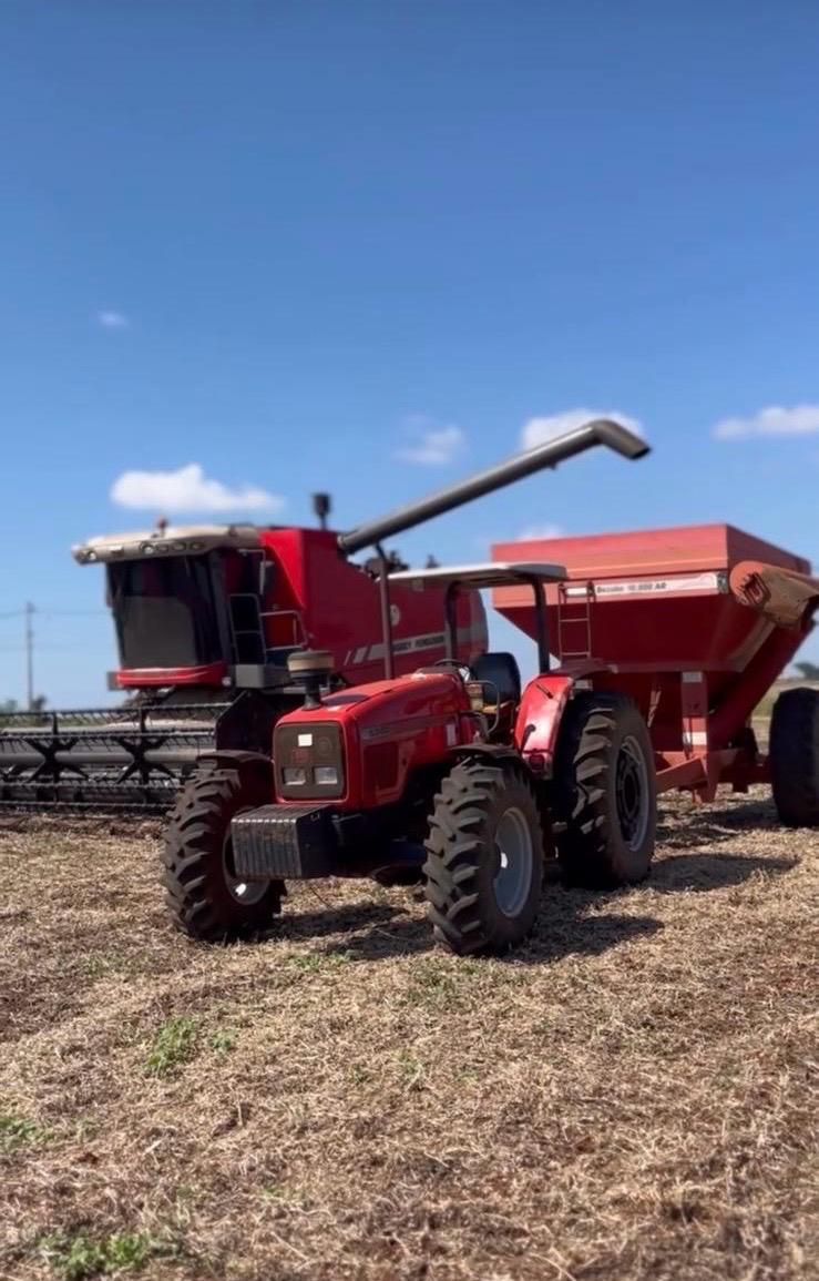Colheitadeira Massey Ferguson MF 4690 / 2018